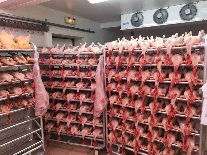 Abattage halal Flins-sur-Seine