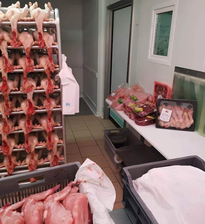 Abattage de volaille Flins-sur-Seine